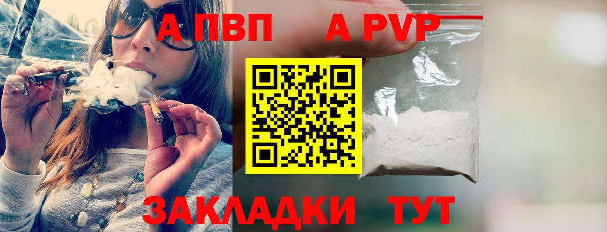 Альфа ПВП СК КРИС Тверь