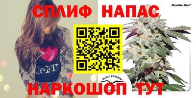 соль ск Моздок