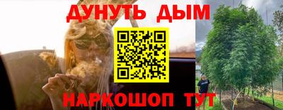 соль ск Моздок