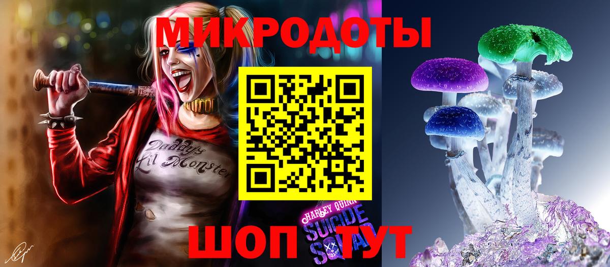 Тверь  Псилоцибиновые грибы Cubensis  Вход с VPN 